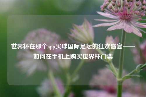 世界杯在那个app买球国际足坛的狂欢盛宴——如何在手机上购买世界杯门票
