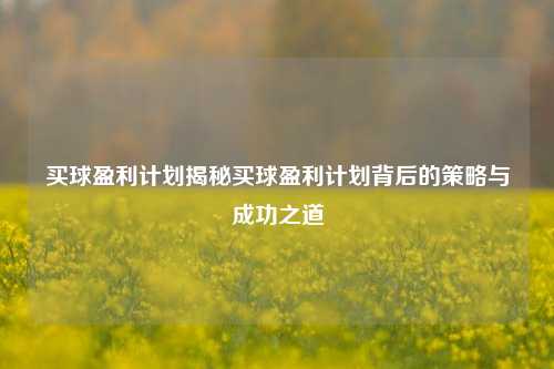 买球盈利计划揭秘买球盈利计划背后的策略与成功之道