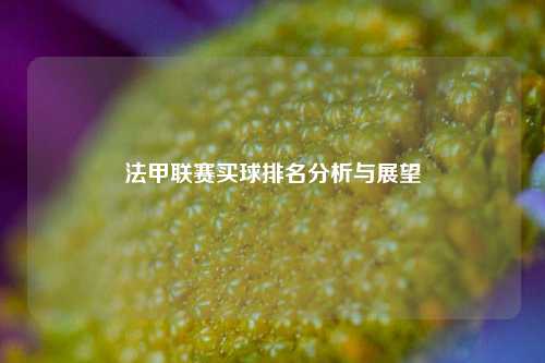 法甲联赛买球排名分析与展望
