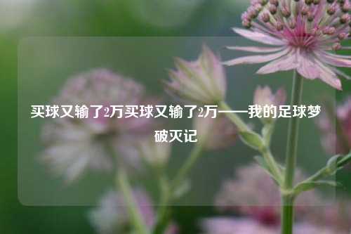 买球又输了2万买球又输了2万——我的足球梦破灭记