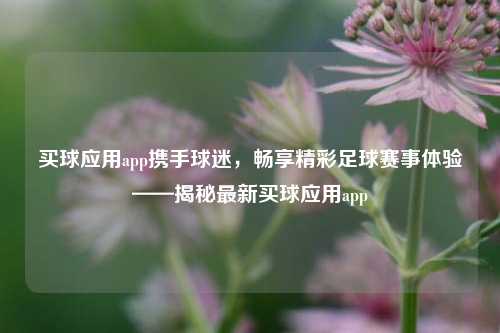 买球应用app携手球迷，畅享精彩足球赛事体验——揭秘最新买球应用app